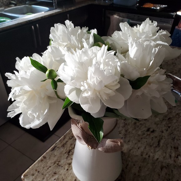 Meet your Posher, Stavroula - Picture 1 of 1